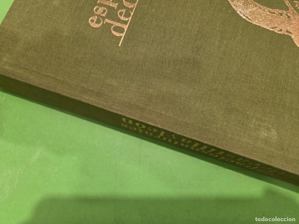 Libros de segunda mano: &rdquo;&rdquo;ESPACIOS NATURALES DE CASTILLA Y LE&Oacute;N&rdquo;&rdquo;...JUNTA DE CASTILLA Y LE&Oacute;N...EDILESA... - Foto 28