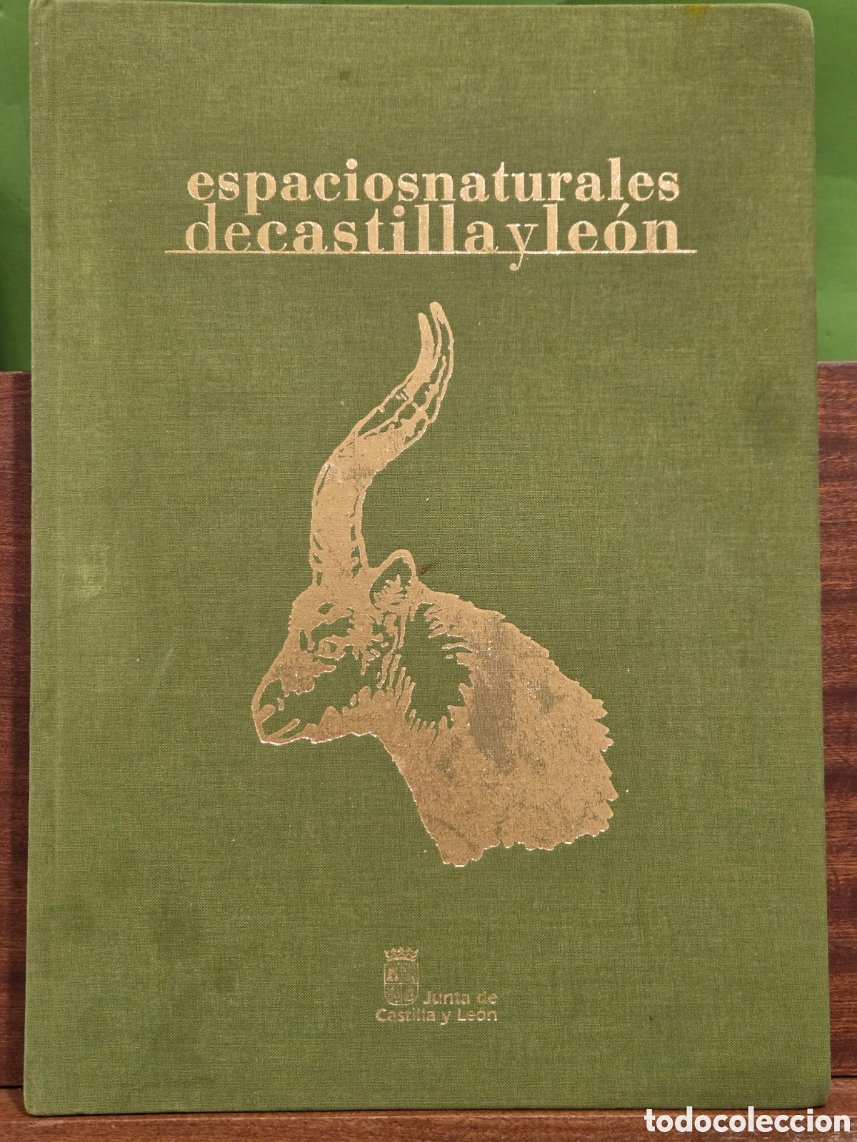 Libros de segunda mano: &rdquo;&rdquo;ESPACIOS NATURALES DE CASTILLA Y LE&Oacute;N&rdquo;&rdquo;...JUNTA DE CASTILLA Y LE&Oacute;N...EDILESA... - Foto 1