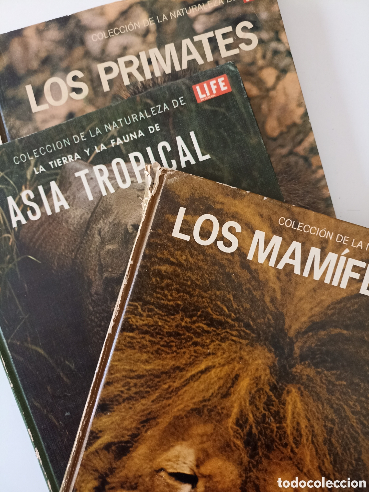 Libros de segunda mano: Lote 3 x Colecci&oacute;n Naturaleza LIFE: Asia Tropical (1966), Los primates (1971), Los mam&iacute;feros (1972)