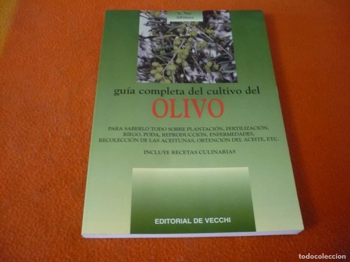 Libros de segunda mano: GUIA COMPLETA DEL CULTIVO DEL OLIVO ( ALBI&Ntilde;ANA ) PLANTACION RIEGO PODA RECOLECCION ACEITUNAS ACEITE