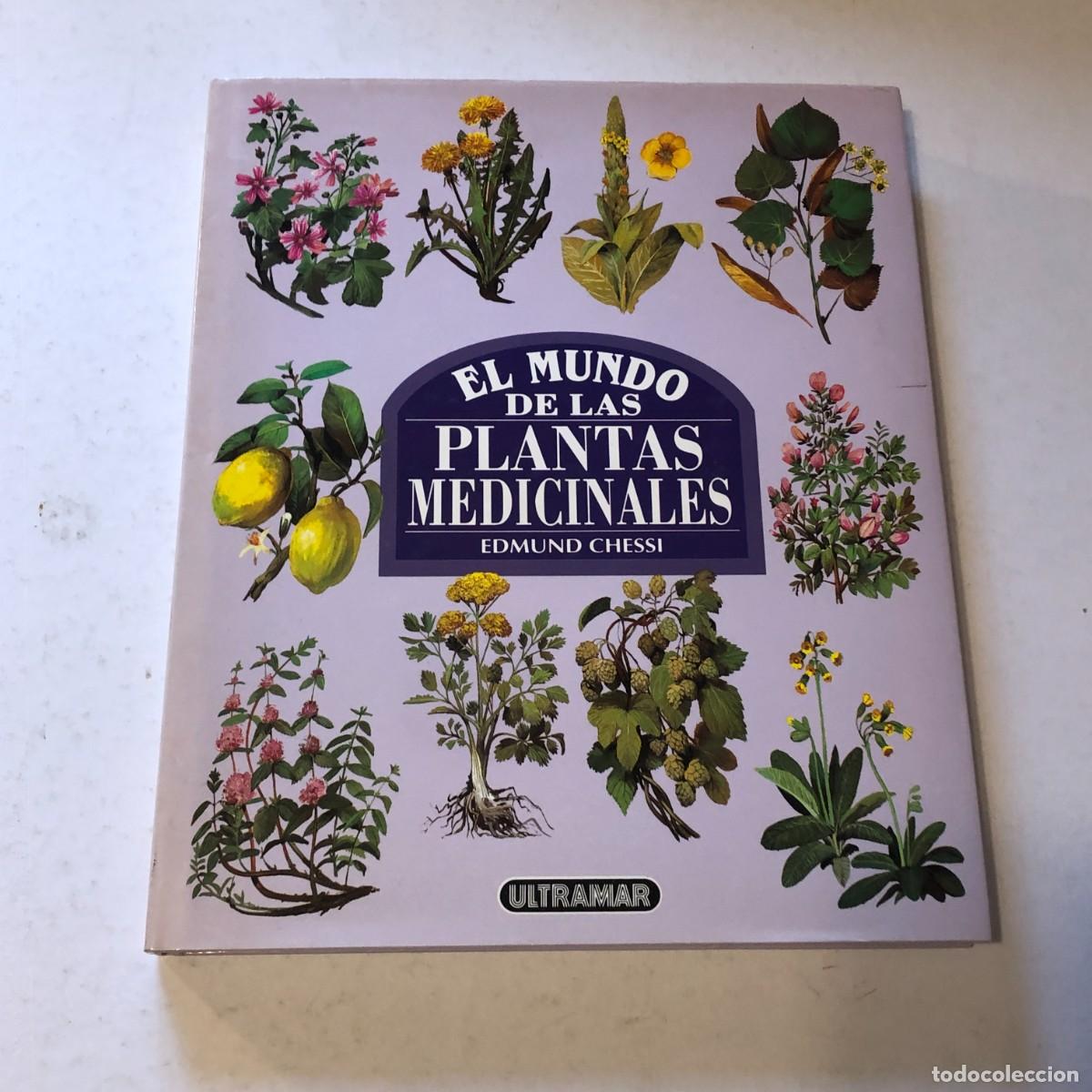 Libros de segunda mano: El Mundo de las Plantas Medicinales Edmund Chessi Ultramar Ilustrado Gran Formato