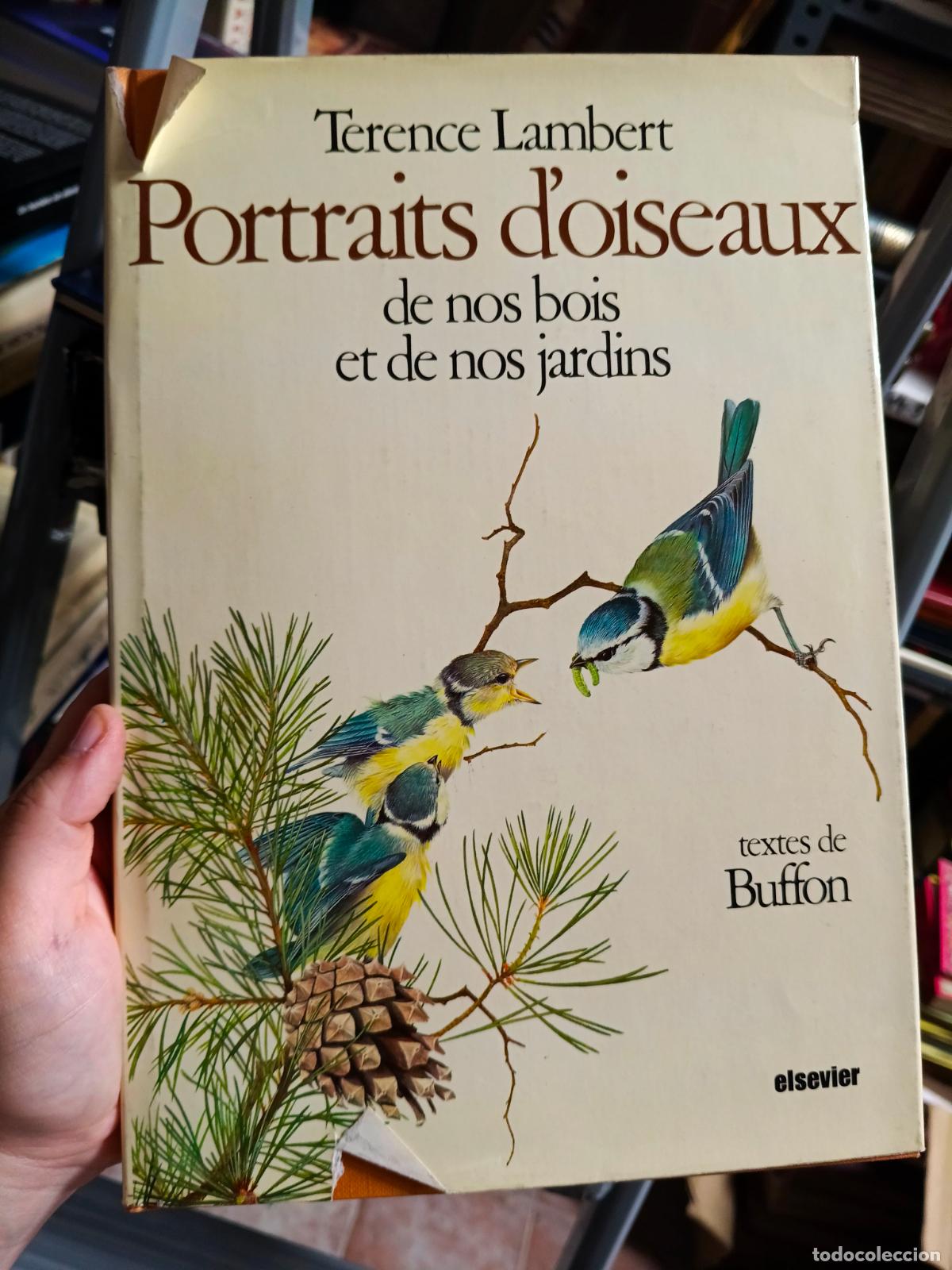 Libros de segunda mano: PORTRAITS D'OISEAUX DE NOS BOIS ET DE NOS JARDINS . textes de BUFFON