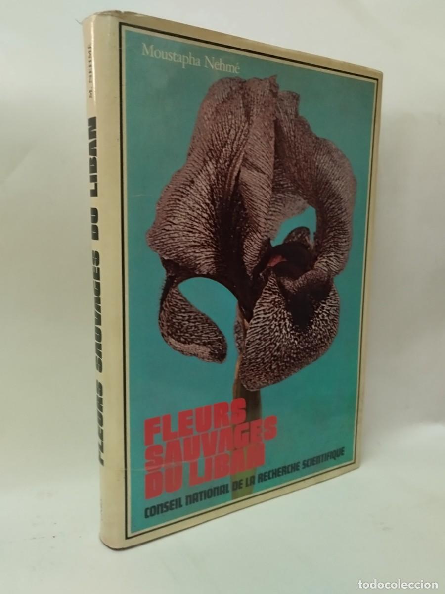 Libros de segunda mano: FLEURS SAUVAGES DU LIBAN. Moustapha Nehm&eacute; / FLORES SILVESTRES DEL L&Iacute;BANO (En franc&eacute;s)