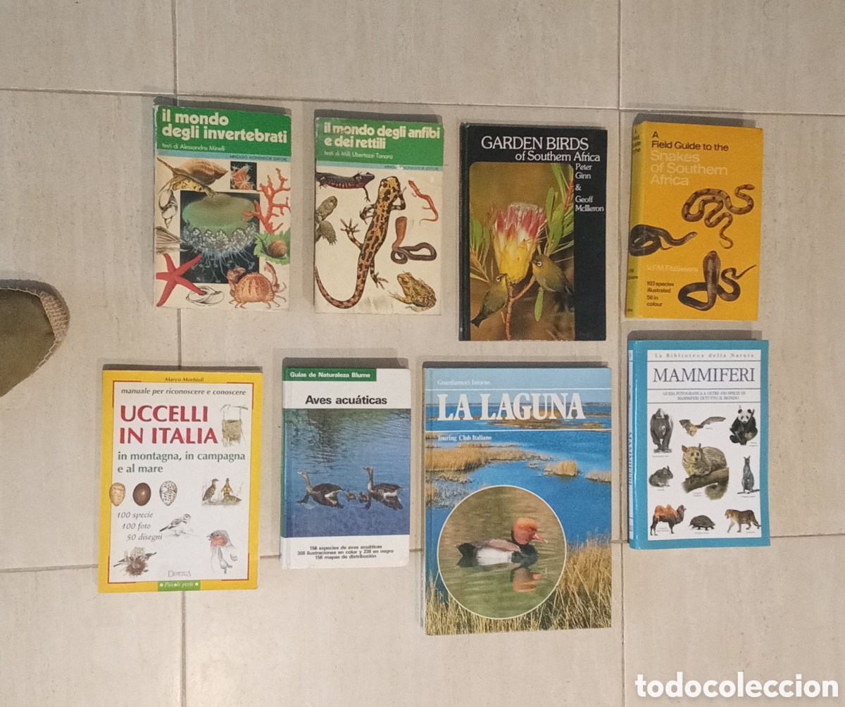 Libros de segunda mano: Lote 8 libros Fauna. Reptiles, Aves, Mam&iacute;feros, Anfibios. En italiano, espa&ntilde;ol e ingl&eacute;s. Ornitolog&iacute;a