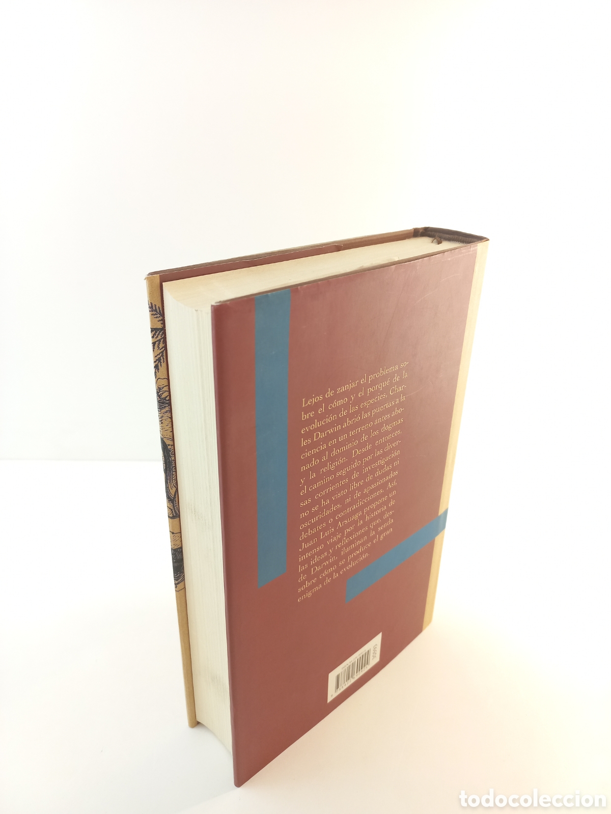 Libros de segunda mano: El enigma de la Esfinge. Juan Luis Arsuaga. C&iacute;rculo de lectores, 2001. - Foto 3