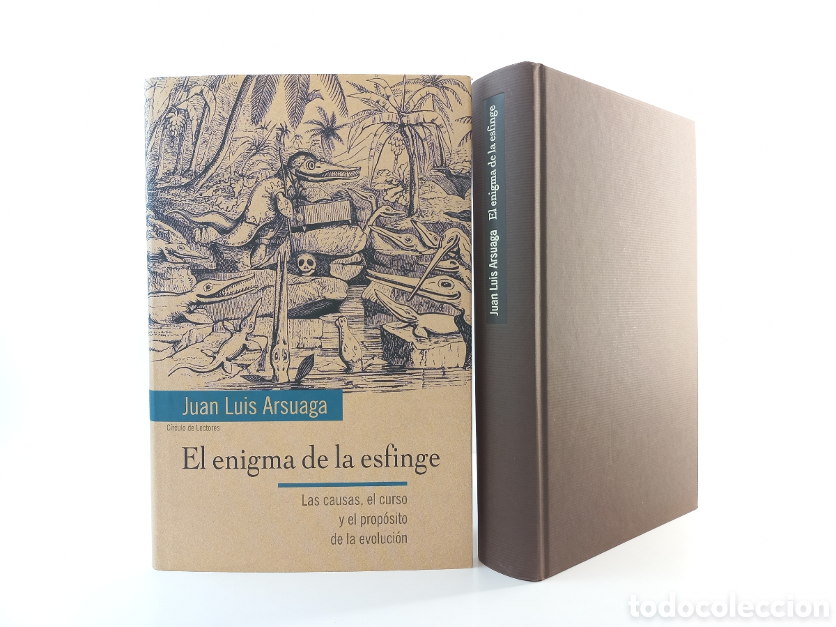 Libros de segunda mano: El enigma de la Esfinge. Juan Luis Arsuaga. C&iacute;rculo de lectores, 2001. - Foto 4