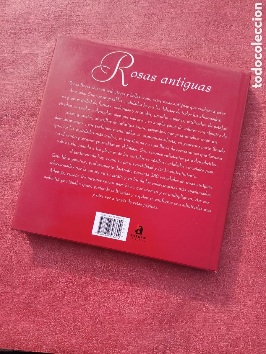 Libros de segunda mano: Rosas antiguas. Patricia Beucher. - Foto 2