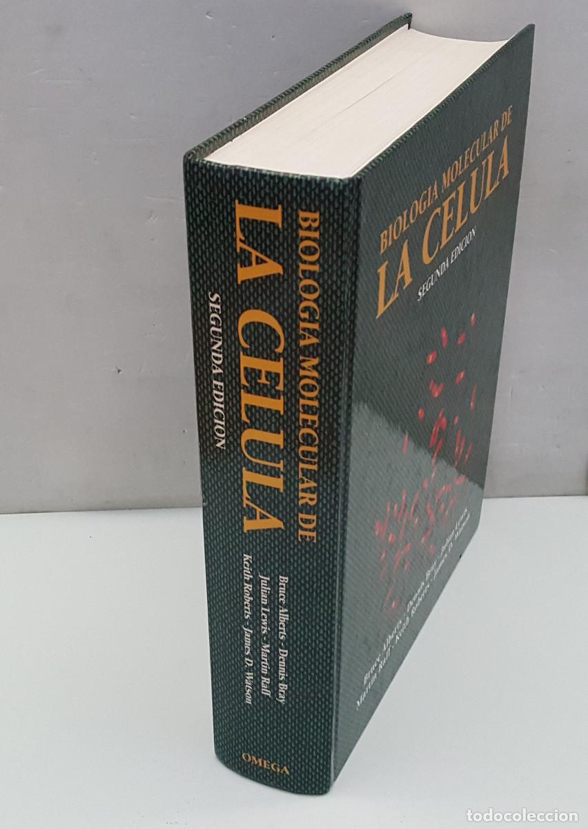 Libros de segunda mano: BIOLOG&Iacute;A MOLECULAR DE LA CELULA, BRUCE ALBERTS, DENNIS BAY, JULIAN LEWIS...2&ordf; ED 1992 OMEGA 1300 PAG