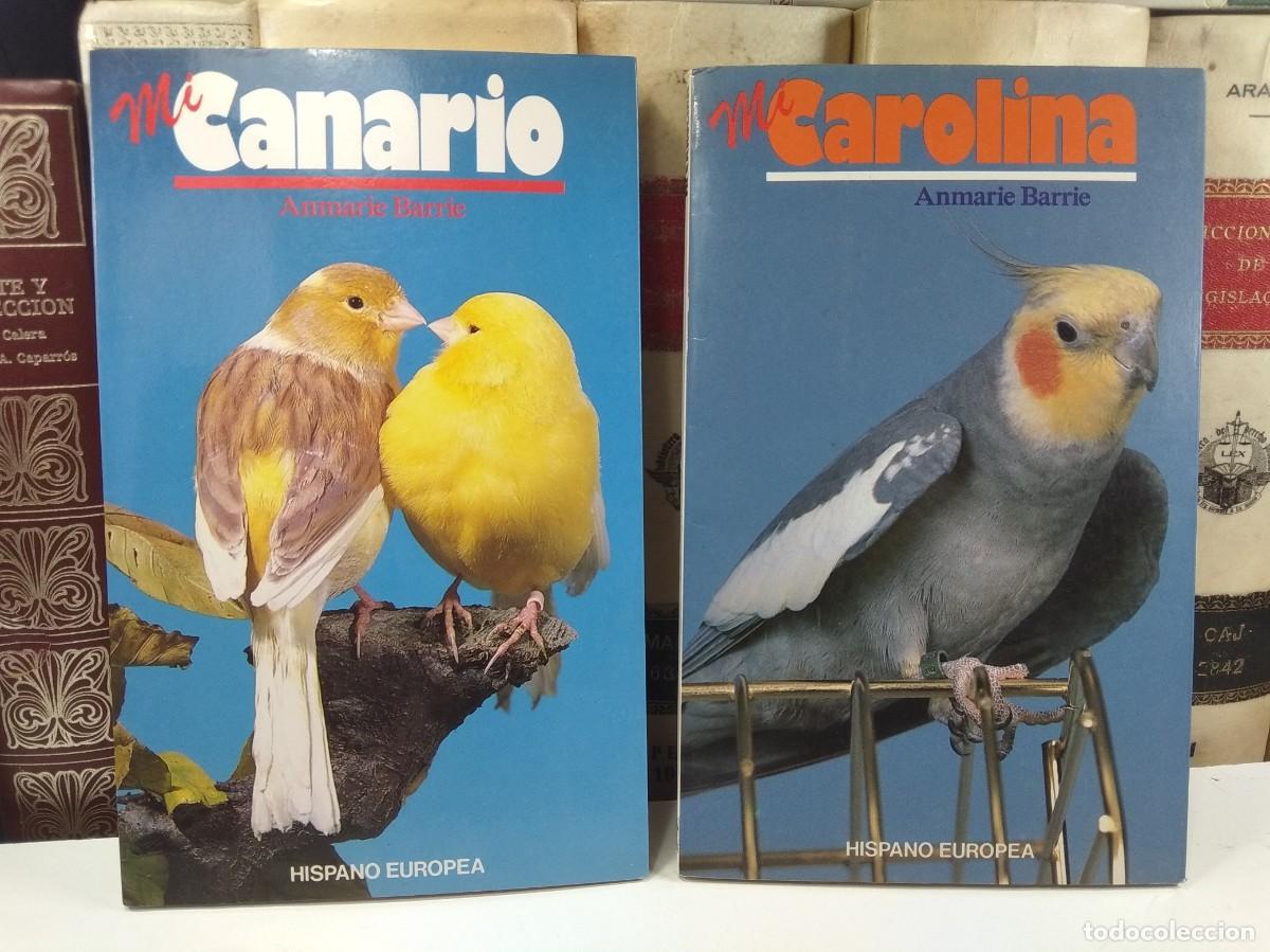 Libri di seconda mano: Lote 2 t&iacute;tulos complementarios ANMARIE BARRIE: MI CANARIO / MI CAROLINA,