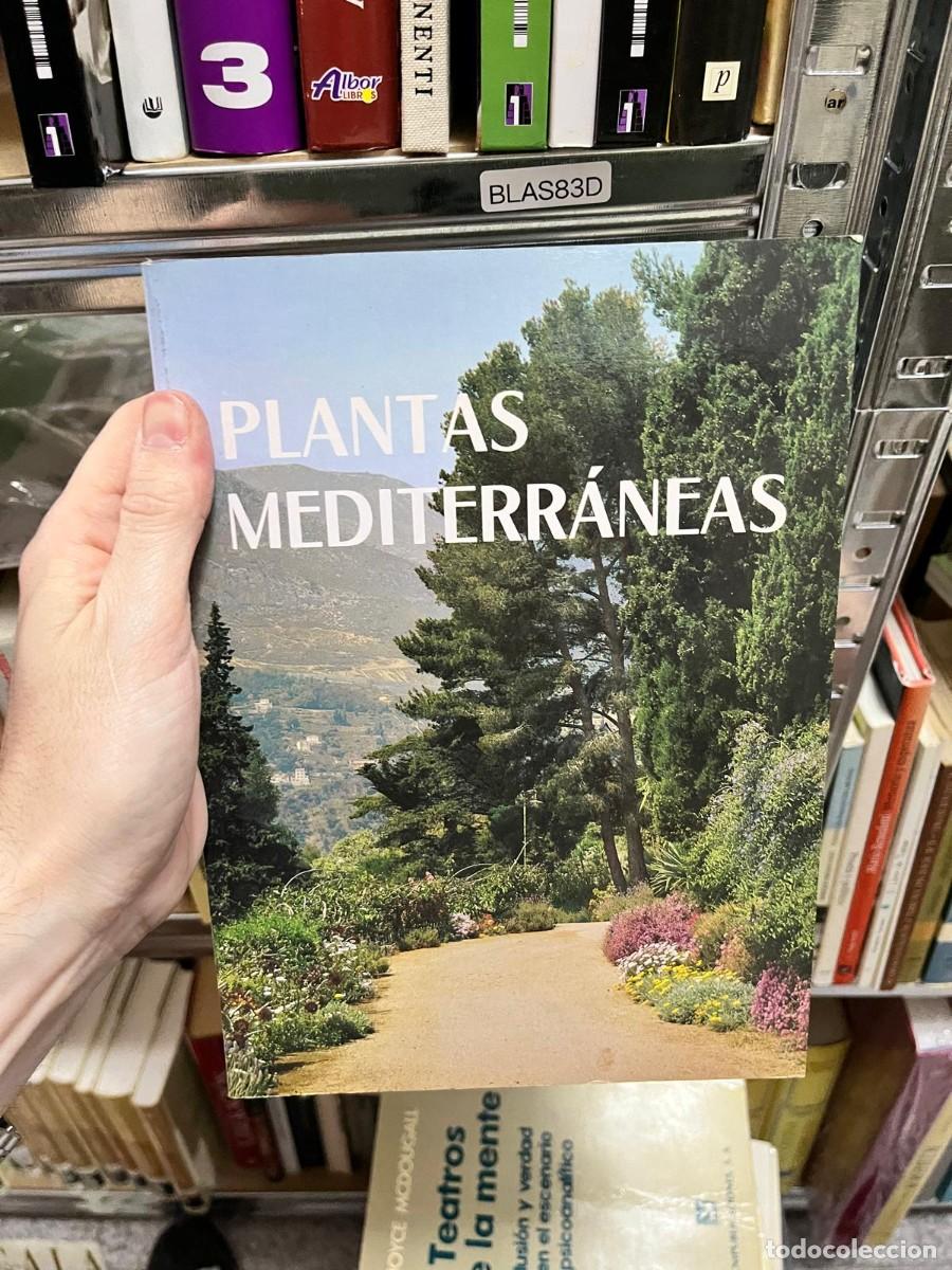 Libros de segunda mano: BLAS83D - Plantas mediterr&aacute;neas. Gu&iacute;a ilustrada dedicada a la flora caracter&iacute;stica de la regi&oacute;n medi