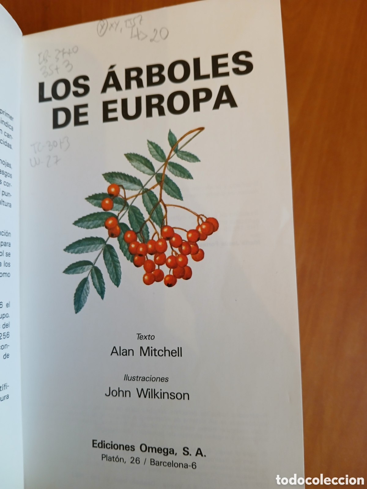 Libros de segunda mano: Los &aacute;rboles de Europa. Alan Mitchell, John Wilkinson. - Foto 3