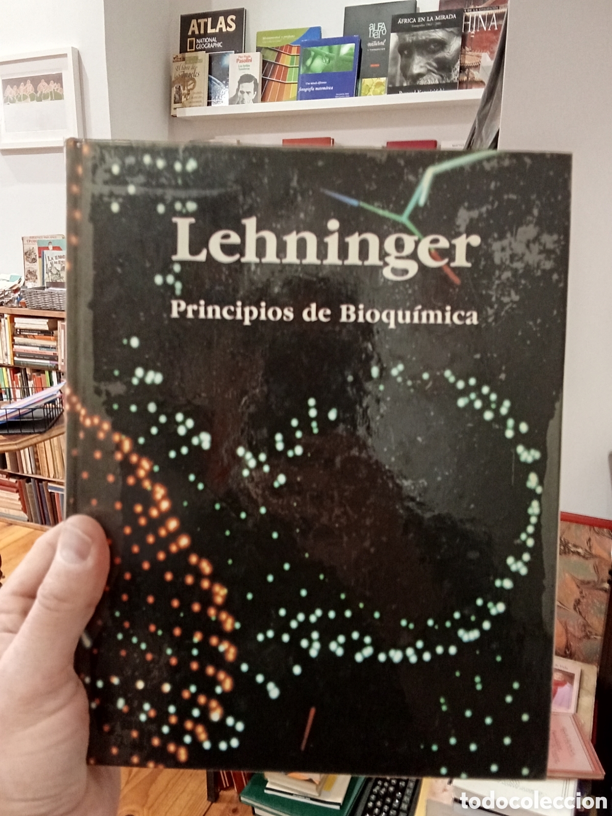 Libros de segunda mano de ciencias: Principios de Bioqu&iacute;mica - Lehninger - Ediciones Omega - Foto 1