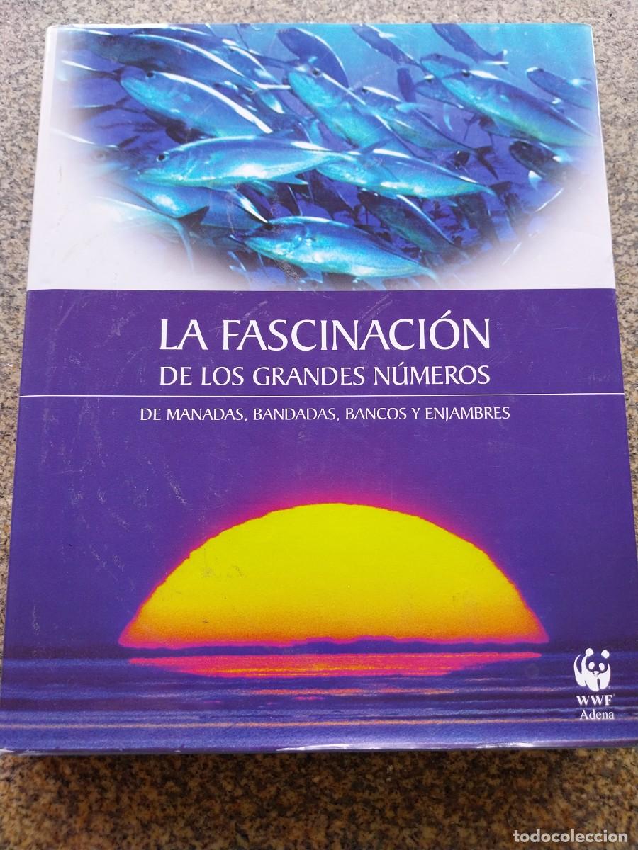 Libros de segunda mano: LA FASCINACION DE LOS GRANDES NUMEROS - MANADAS, BANDADAS, BANCOS Y ENJAMBRES ..