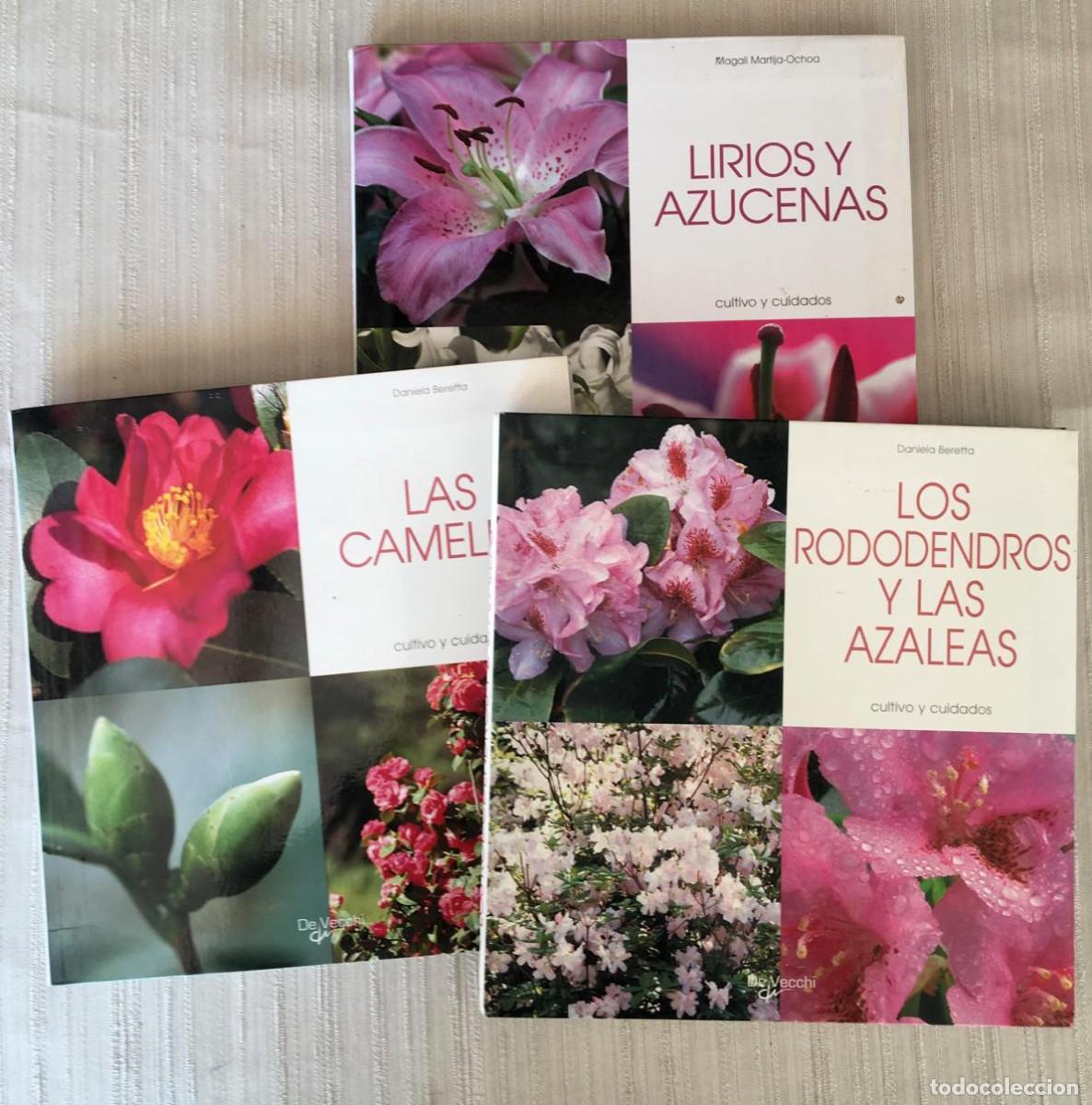 Libros de segunda mano: Lote de 3 libros de flores de la editorial De Vecchi - Foto 1