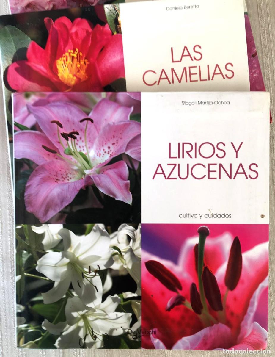 Libros de segunda mano: Lote de 3 libros de flores de la editorial De Vecchi - Foto 2