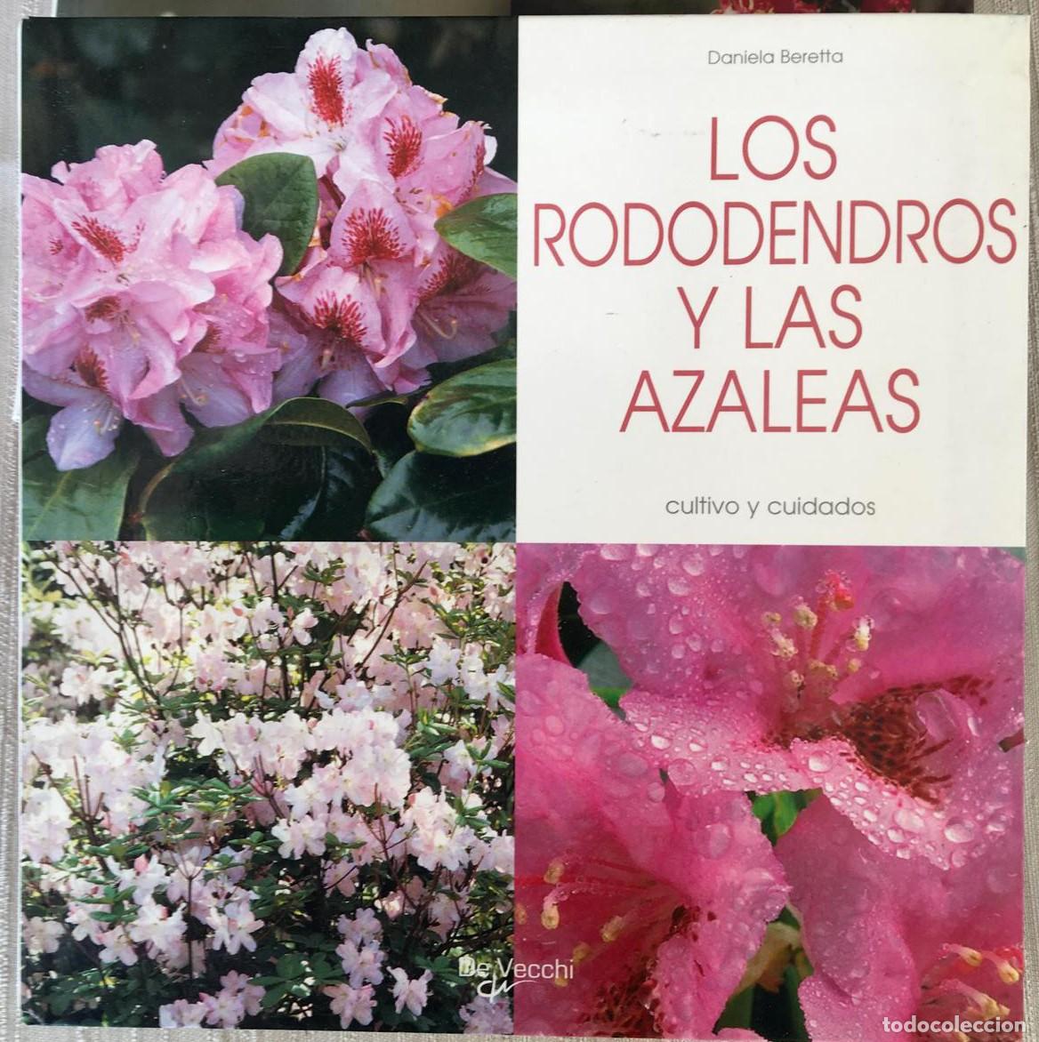Libros de segunda mano: Lote de 3 libros de flores de la editorial De Vecchi - Foto 3
