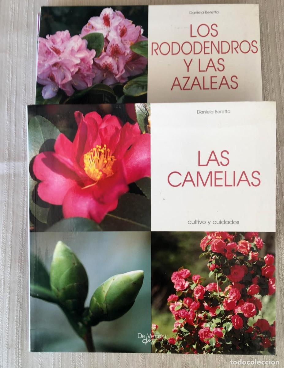 Libros de segunda mano: Lote de 3 libros de flores de la editorial De Vecchi - Foto 4