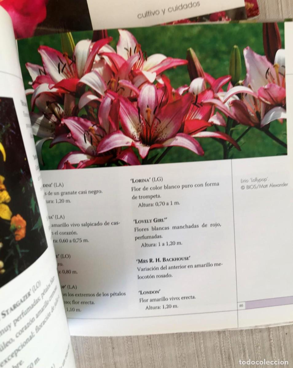 Libros de segunda mano: Lote de 3 libros de flores de la editorial De Vecchi - Foto 6
