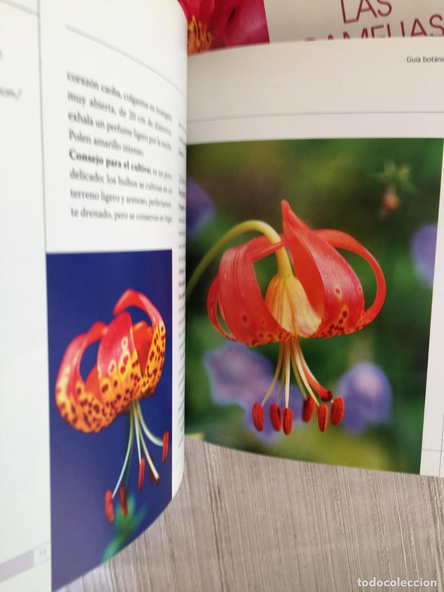 Libros de segunda mano: Lote de 3 libros de flores de la editorial De Vecchi - Foto 7