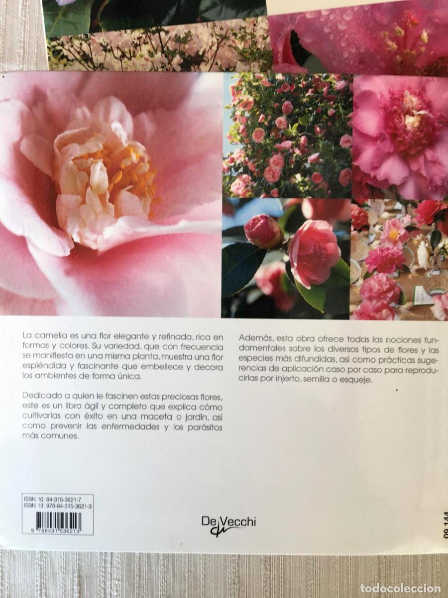 Libros de segunda mano: Lote de 3 libros de flores de la editorial De Vecchi - Foto 9