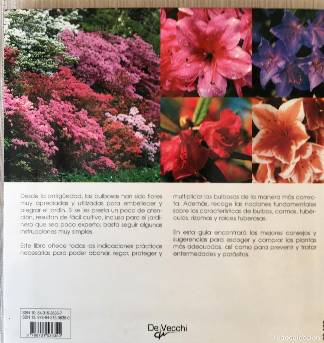 Libros de segunda mano: Lote de 3 libros de flores de la editorial De Vecchi - Foto 10