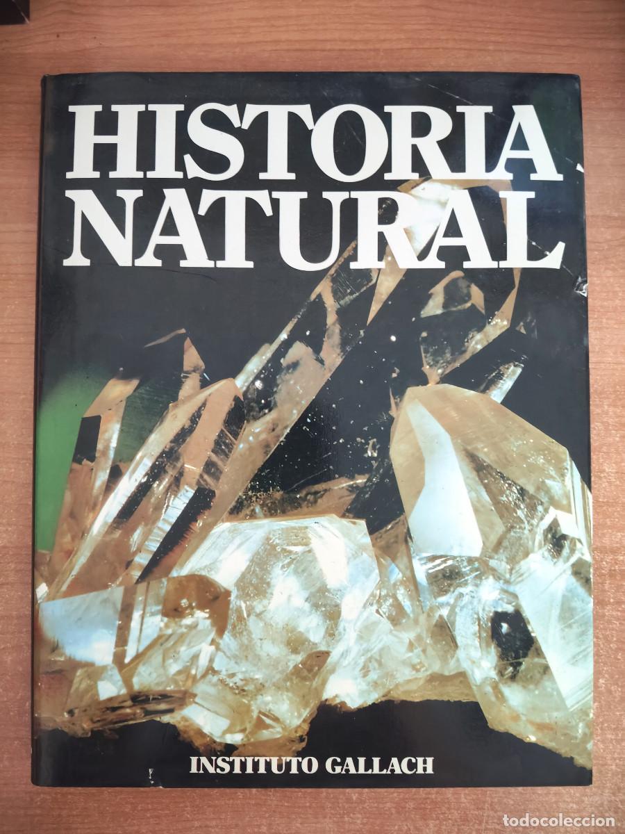 Libros de segunda mano: Historia Natural. Tomo 10 - Geolog&iacute;a - Instituto Gallach - 1994