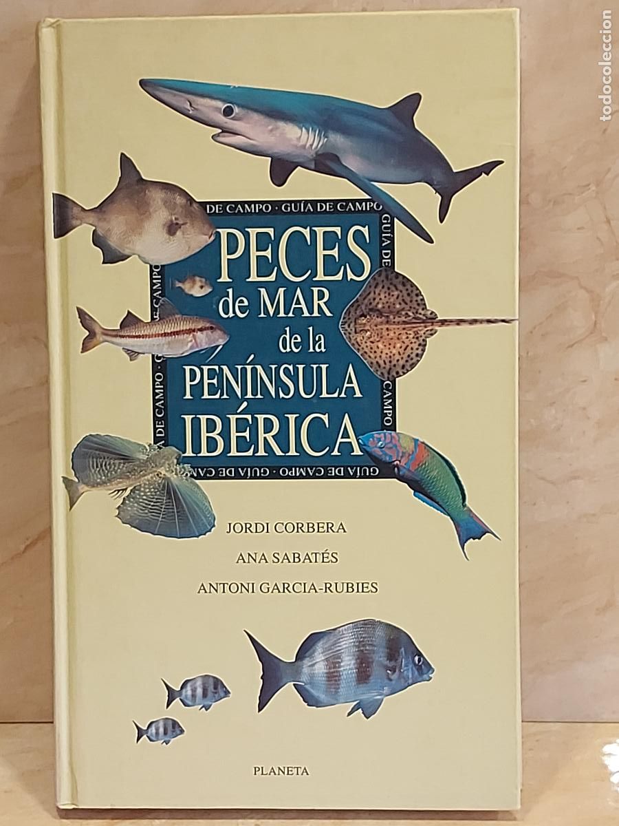 Libros de segunda mano: PECES DE MAR DE LA PEN&Iacute;NSULA IB&Eacute;RICA | VV.AA. | 1&ordf; EDICI&Oacute;N / ED. PLANETA--1996