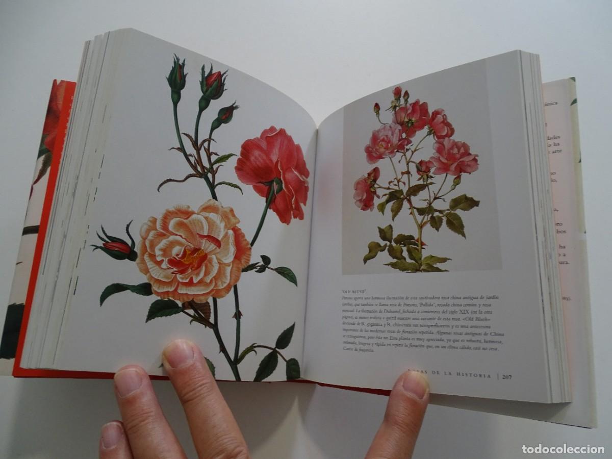 Libros de segunda mano: Peter Harkness: La Rosa. Una herencia de color - Foto 3