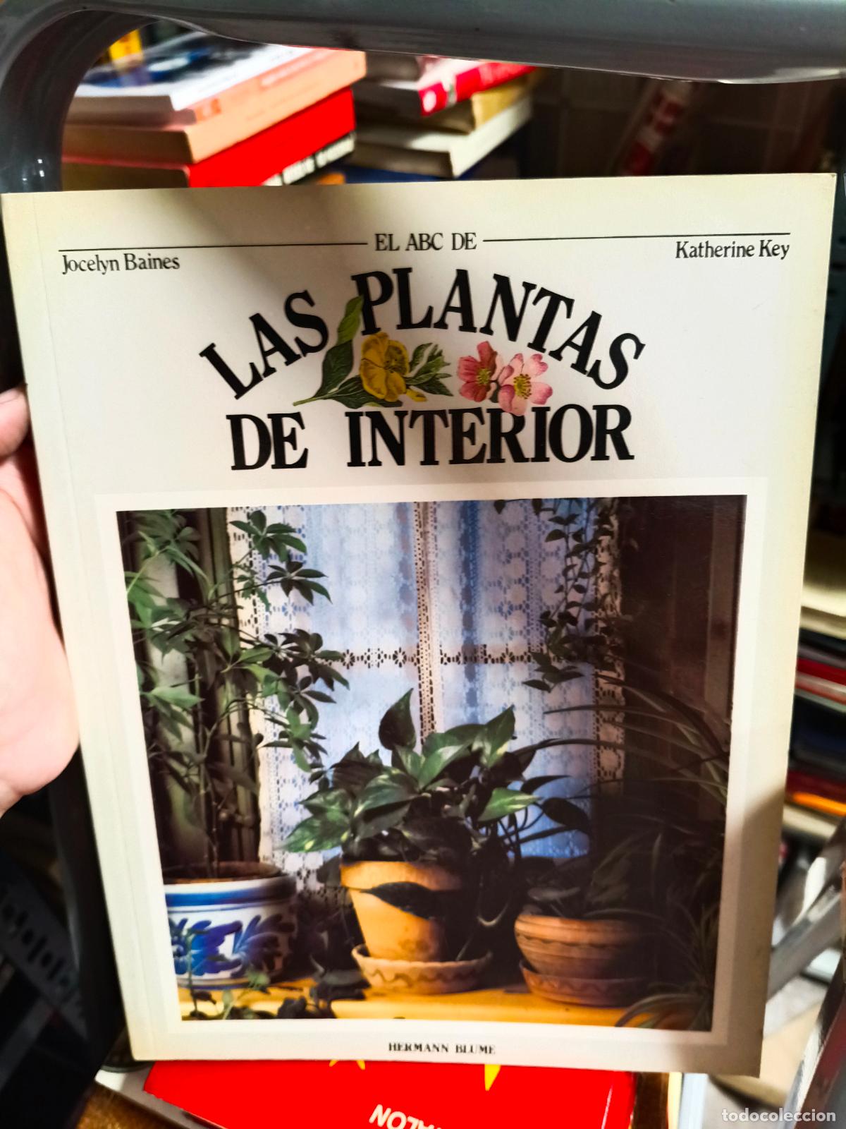 Libros de segunda mano: JOCELYN BAINES : EL ABC DE LAS PLANTAS DE INTERIOR (BLUME,