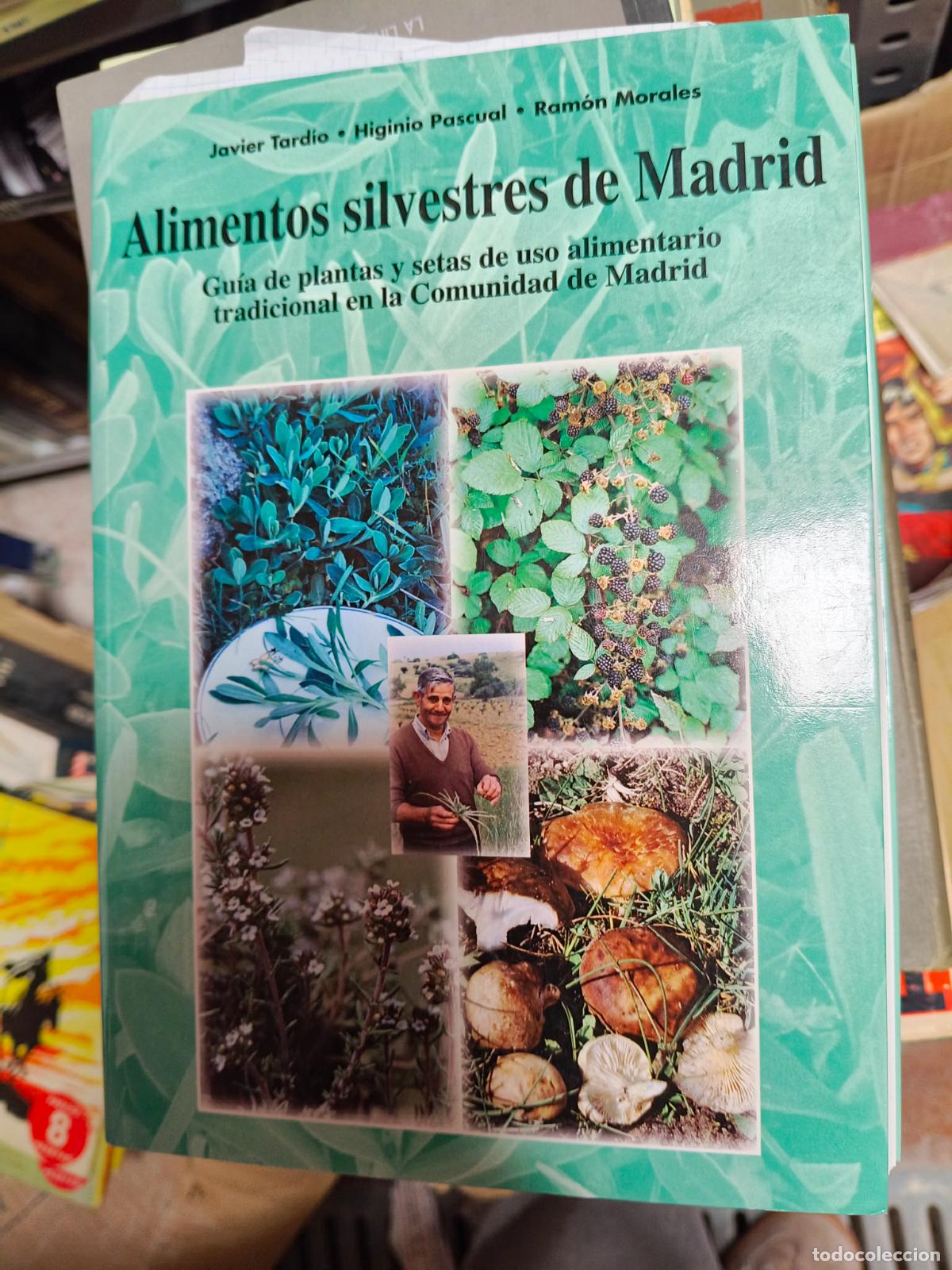 Libros de segunda mano: ALIMENTOS SILVESTRES DE MADRID - TARD&Iacute;O, JAVIER; PASCUAL &rdquo;PASCU&rdquo;; MORALES, RAM&Oacute;N
