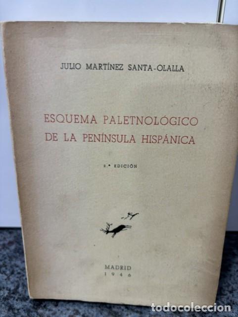 Libros de segunda mano: ESQUEMA PALETNOL&Oacute;GICO DE LA PEN&Iacute;NSULA HISP&Aacute;NICA. 1946. JULIO MART&Iacute;NEZ SANTA-OLALLA. FIRMADO
