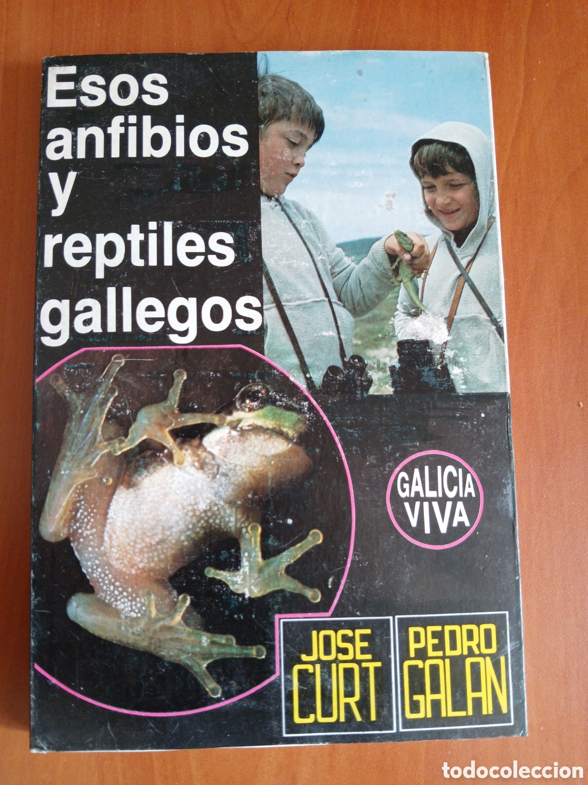 Libros de segunda mano: Esos anfibios y reptiles gallegos. Jos&eacute; Curt, Pedro Gal&aacute;n. GALICIA.