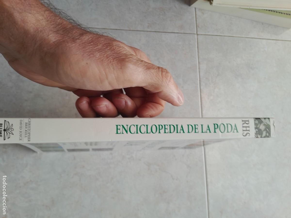 Libros de segunda mano: ENCICLOPEDIA DE LA PODA. CHRISTOPHER BRICKELL. BLUME 2009 - Foto 2