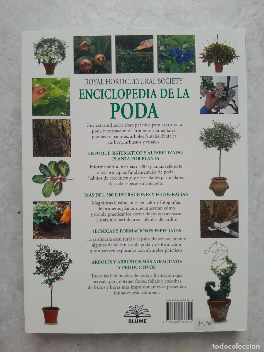 Libros de segunda mano: ENCICLOPEDIA DE LA PODA. CHRISTOPHER BRICKELL. BLUME 2009 - Foto 3