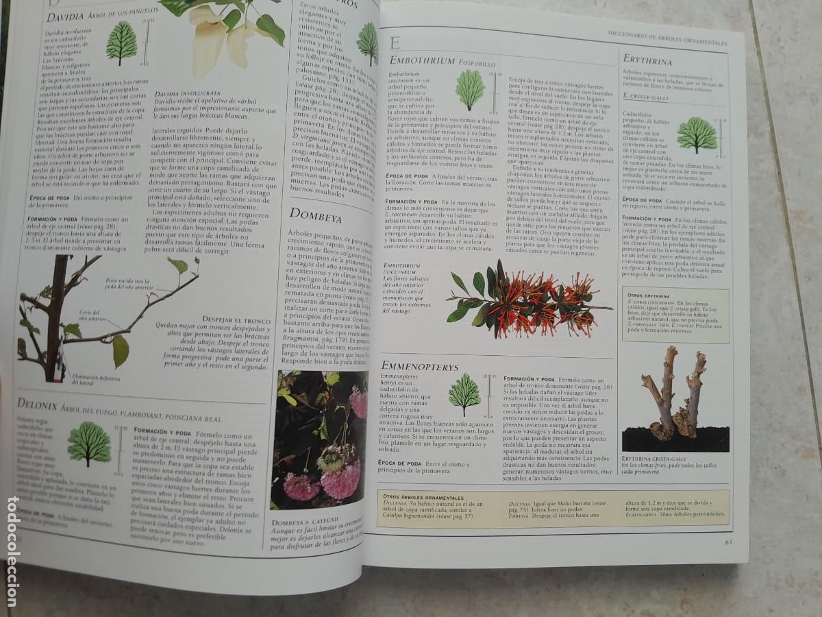 Libros de segunda mano: ENCICLOPEDIA DE LA PODA. CHRISTOPHER BRICKELL. BLUME 2009 - Foto 10