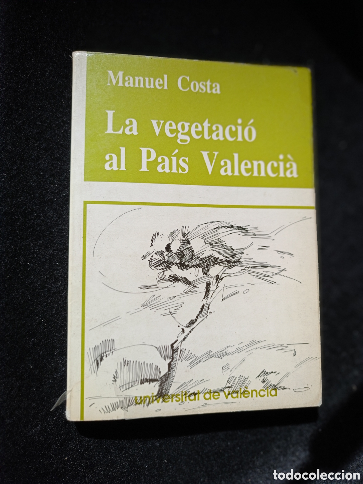 Libros de segunda mano: LA VEGETACI&Oacute; AL PA&Iacute;S VALENCI&Agrave;