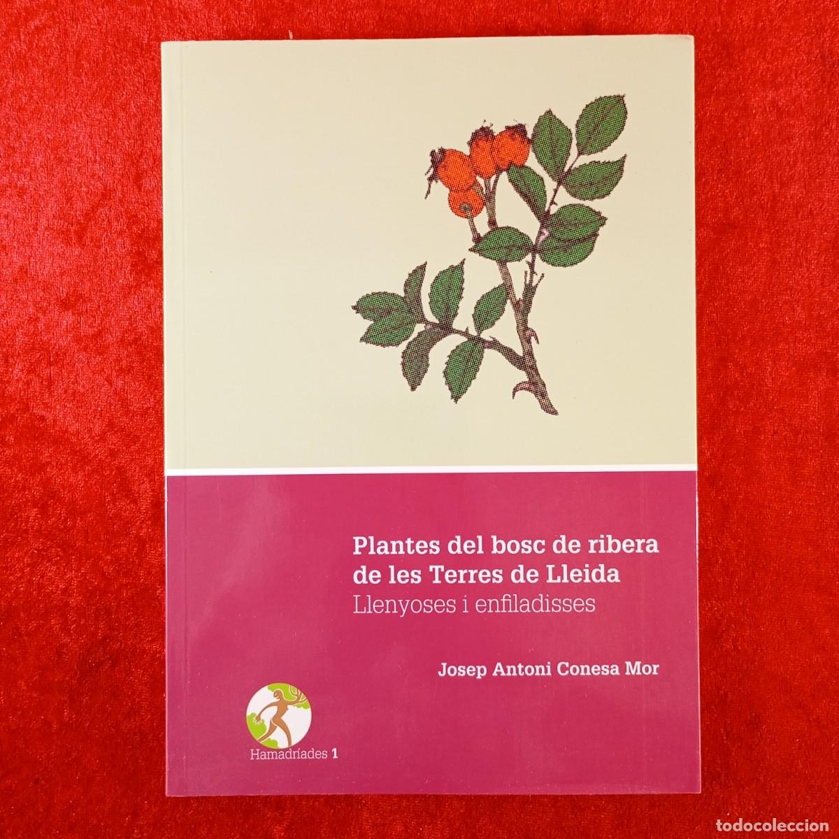 Libros de segunda mano: PLANTES DEL BOSC DE RIBERA DE LES TERRES DE LLEIDA, LLENYOSES I ENFILADISSES - J.A. CONESA MOR / 671