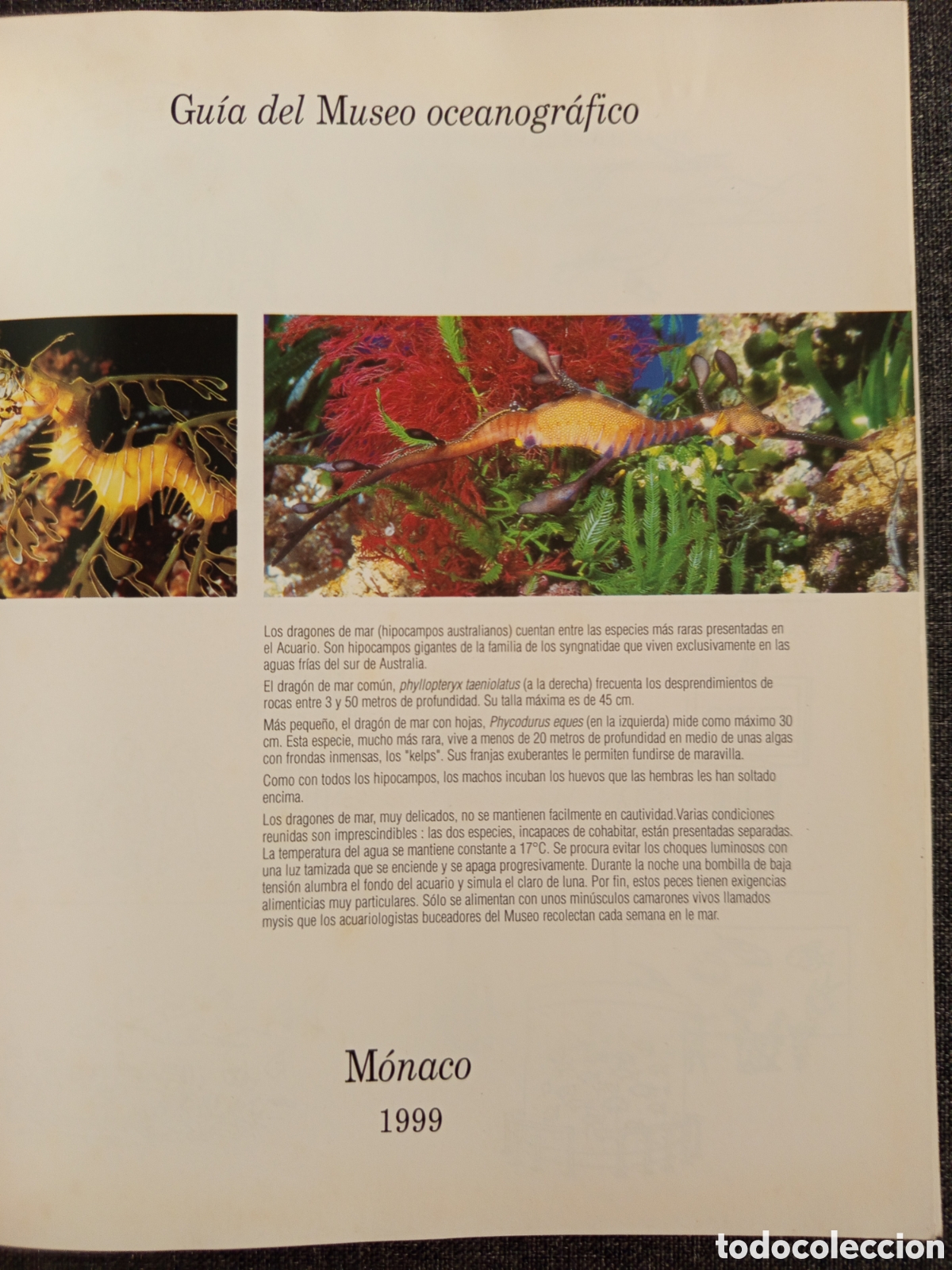 Libros de segunda mano: GUIA DEL MUSEO OCEANOGRAFICO MONACO - Foto 2