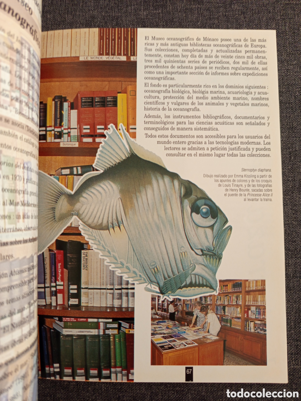 Libros de segunda mano: GUIA DEL MUSEO OCEANOGRAFICO MONACO - Foto 4