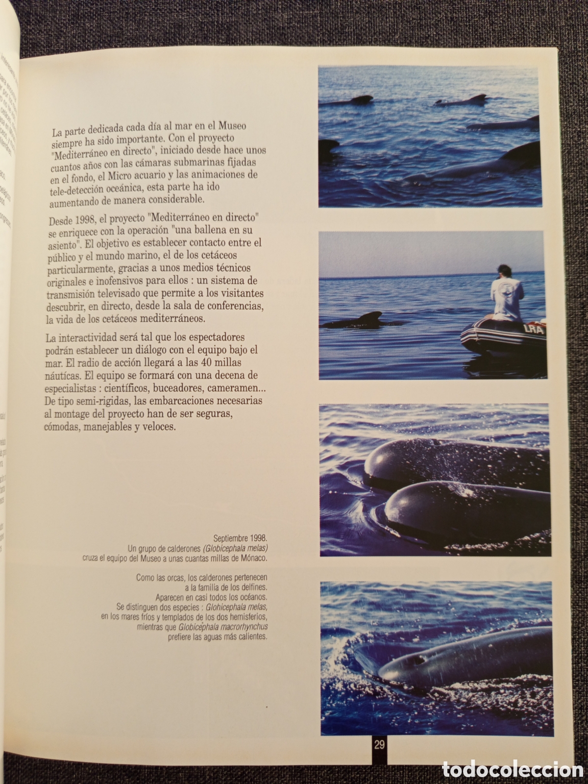 Libros de segunda mano: GUIA DEL MUSEO OCEANOGRAFICO MONACO - Foto 8
