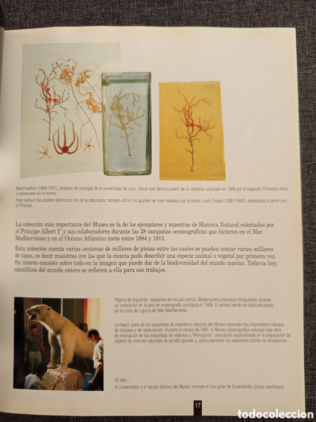 Libros de segunda mano: GUIA DEL MUSEO OCEANOGRAFICO MONACO - Foto 9