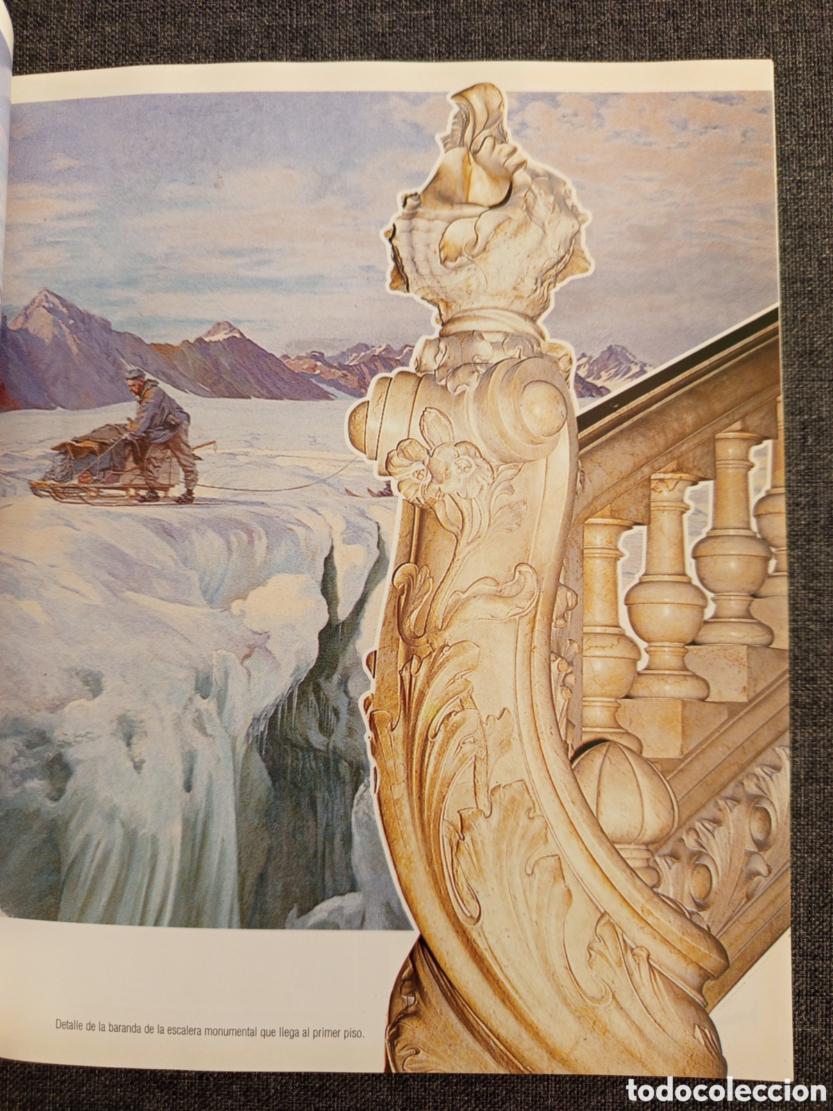 Libros de segunda mano: GUIA DEL MUSEO OCEANOGRAFICO MONACO - Foto 10