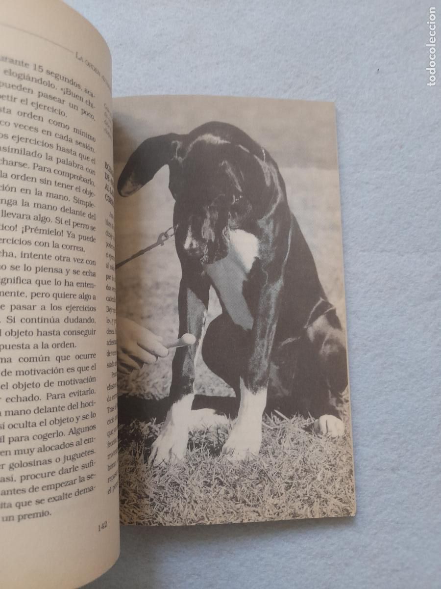 Libros de segunda mano: Tratado Completo del Adiestramiento del Perro. Dorman Pantfoeder. - Foto 3