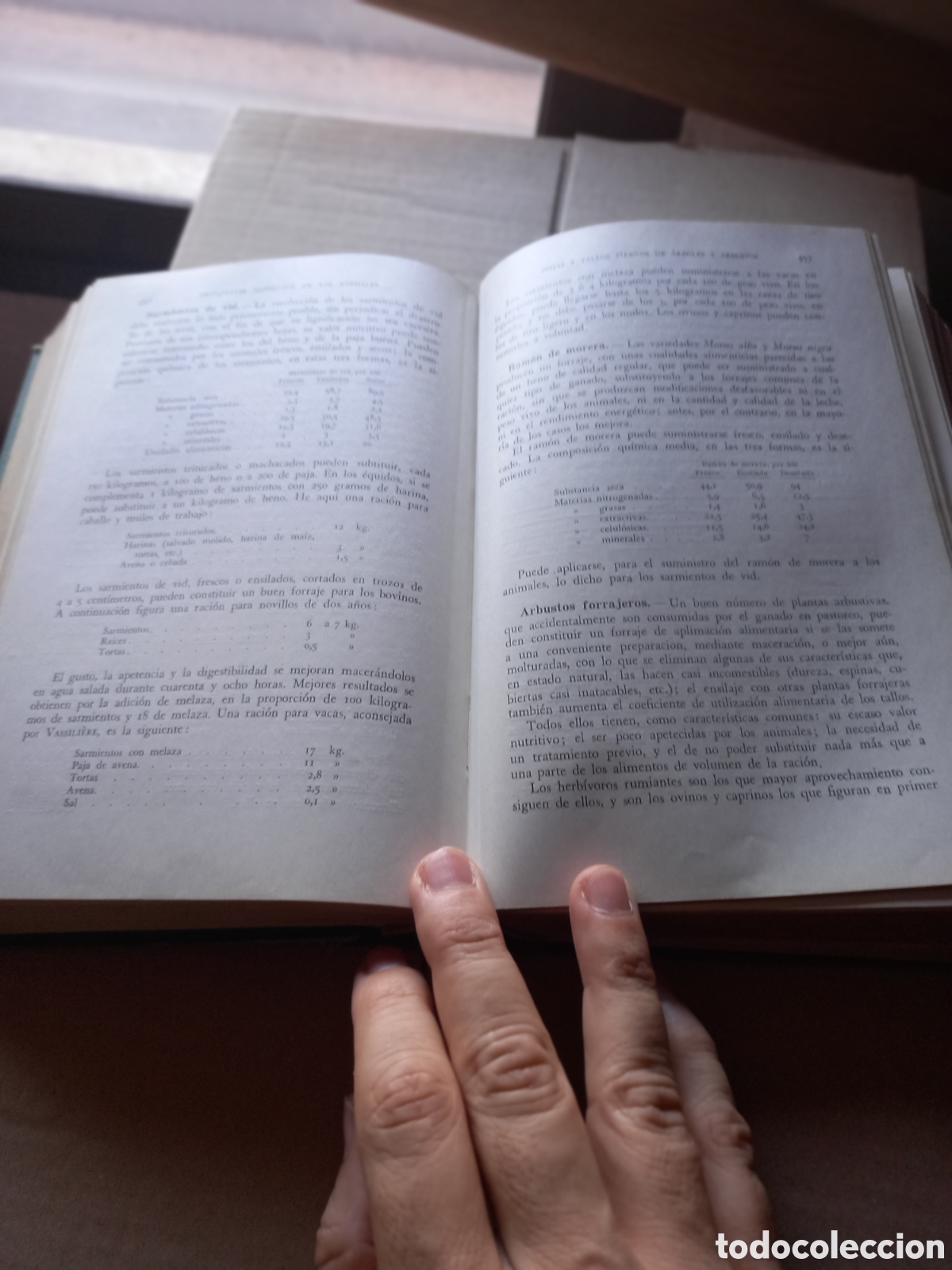 Libros de segunda mano: Libro Bramotologia Zoote y Alimentaci&oacute;n Animal - Foto 3