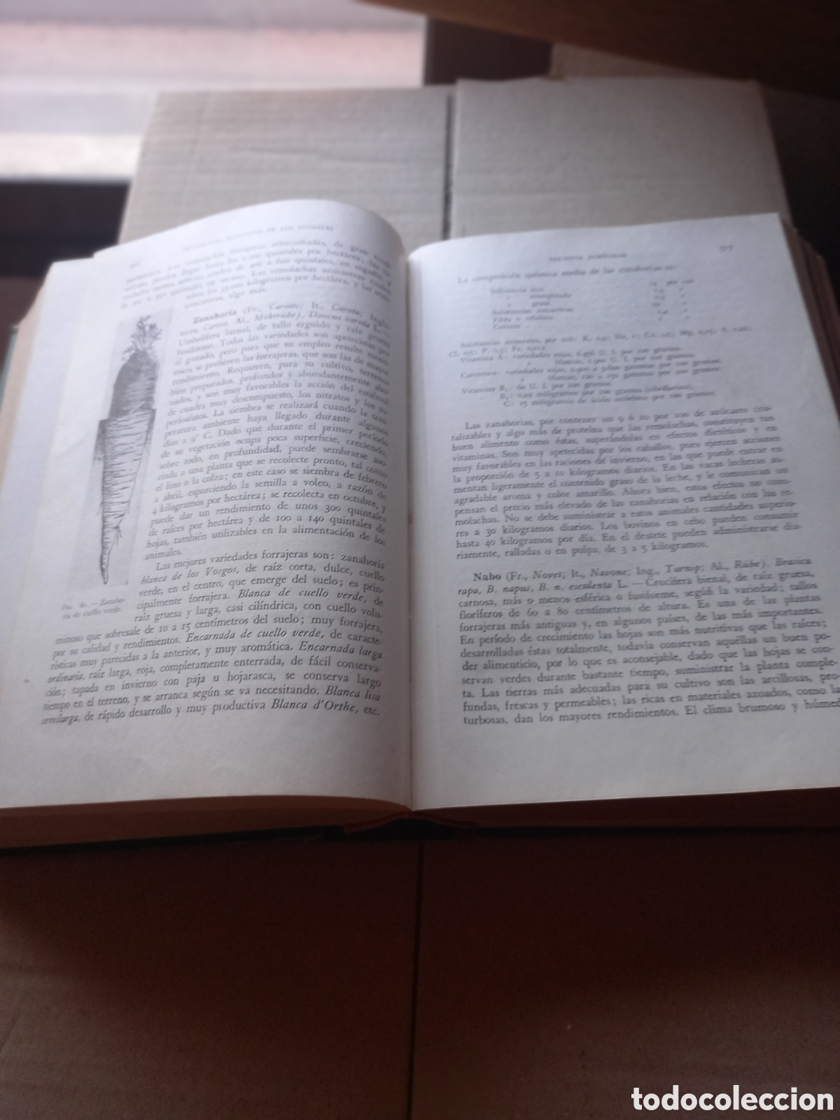 Libros de segunda mano: Libro Bramotologia Zoote y Alimentaci&oacute;n Animal - Foto 6