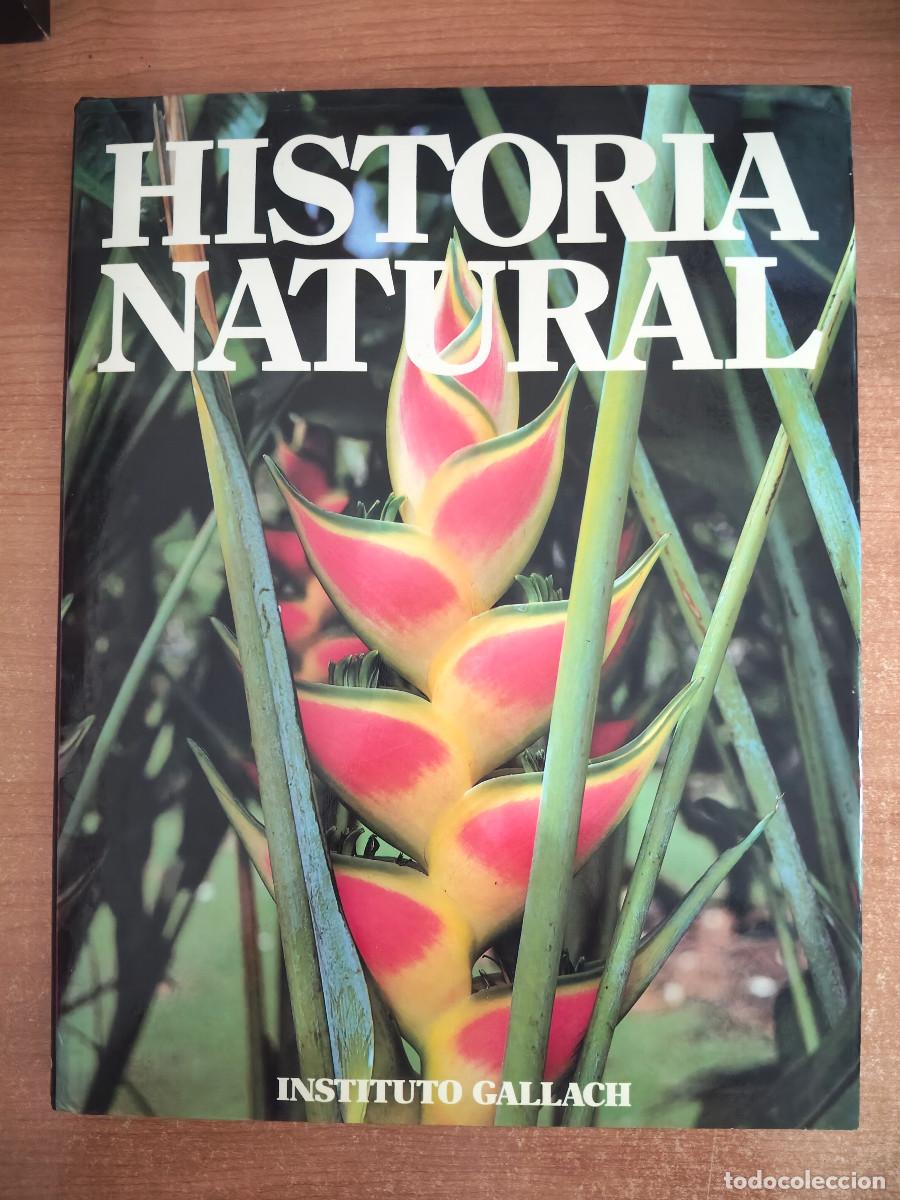 Gebrauchte B&uuml;cher: Historia Natural. Tomo 9 - Bot&aacute;nica / Geolog&iacute;a - Instituto Gallach - 1994