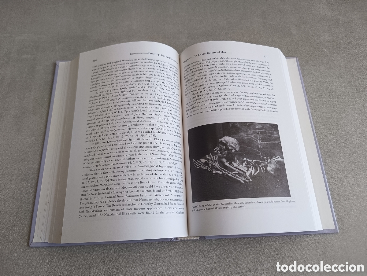 Libros de segunda mano: Controversy Catastrophism and Evolution: The Ongoing Debate. Trevor Palmer. - Foto 8