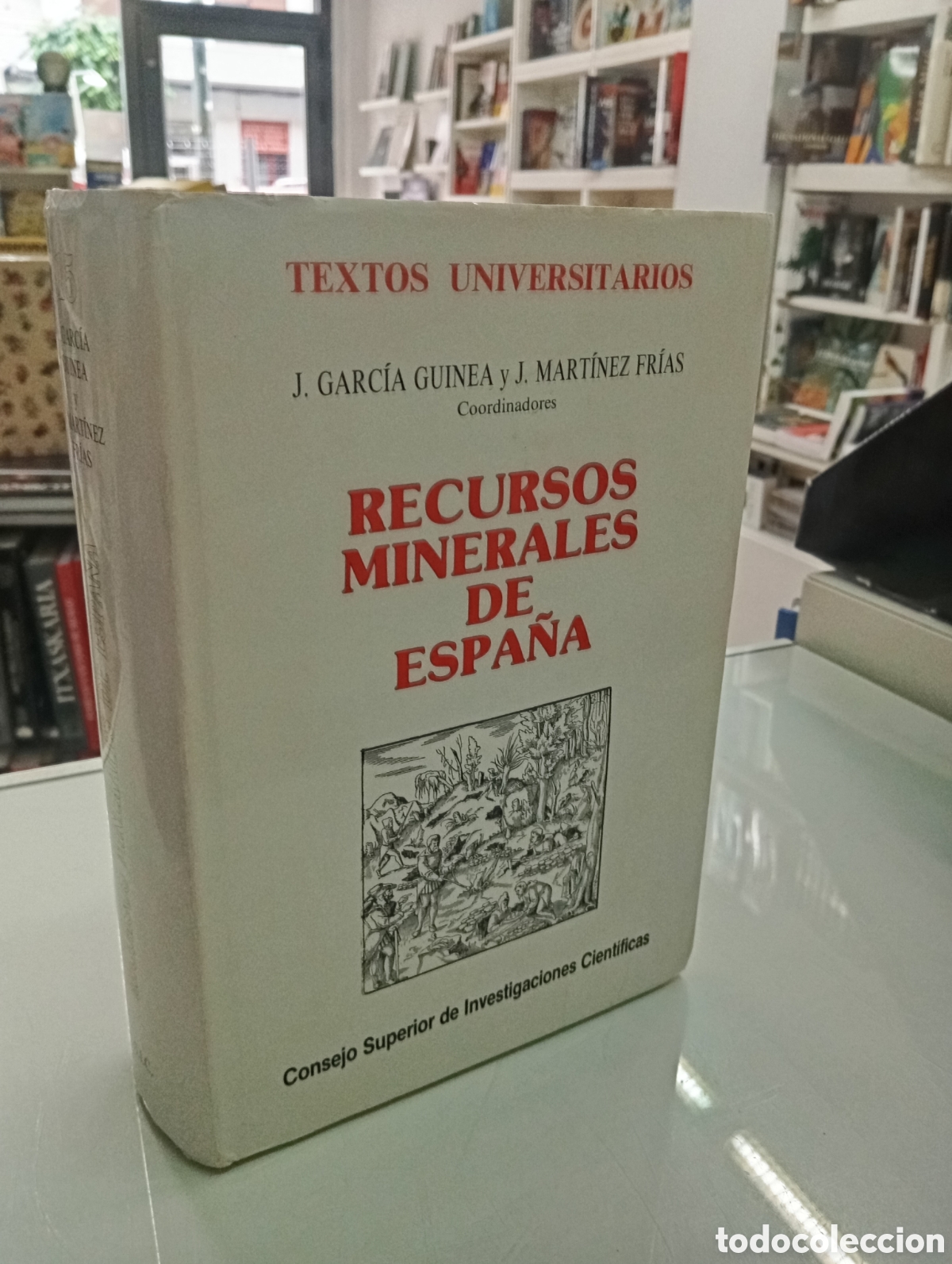Libros de segunda mano: RECURSOS MINERALES DE ESPA&Ntilde;A J. GARC&Iacute;A GUINEA / J. MART&Iacute;NEZ FR&Iacute;AS C.S.I.C. 1992 MINERIA MINAS RARO