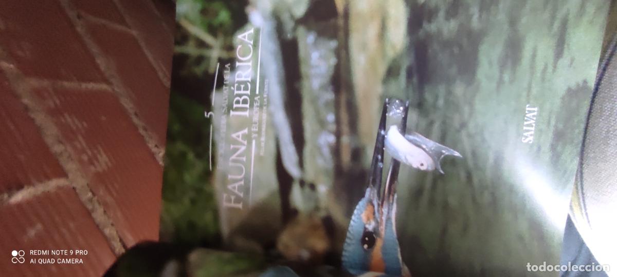Libros de segunda mano: FAUNA IBERICA TOMO 5 EL HOMBRE Y LA TIERRA FELIX RODRIGUEZ