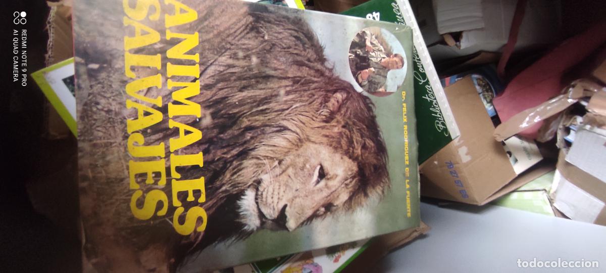 Libros de segunda mano: Animales salvajes de &Aacute;frica Oriental.- Rodr&iacute;guez de la Fuente, F&eacute;lix